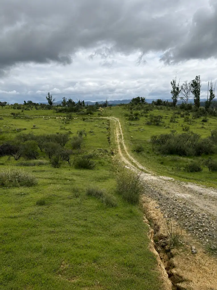 Parcela Praderas de Cauquenes en Cauquenes, Maule — foto 5