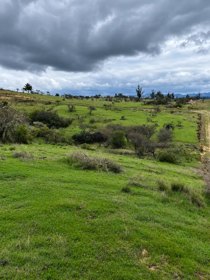 Parcela Praderas de Cauquenes en Cauquenes, Maule — foto 7