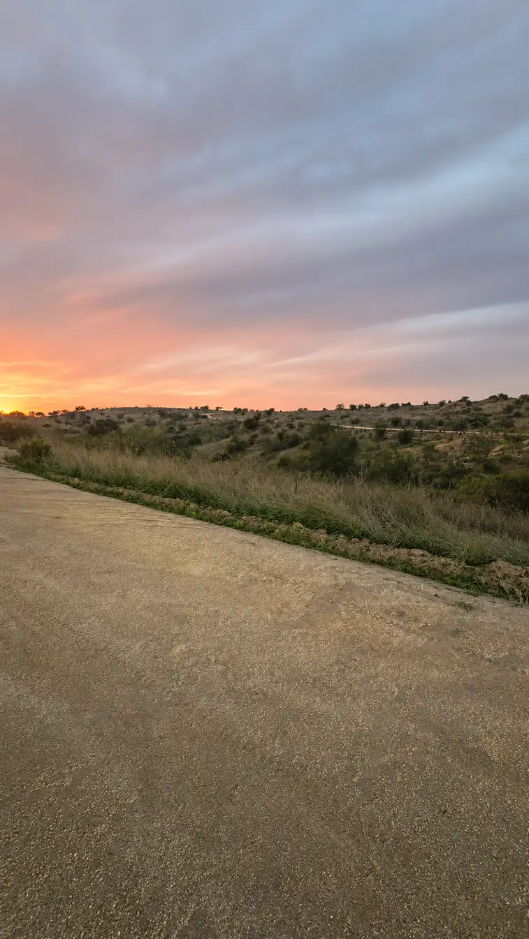 Parcela Proyecto Aliwen en Litueche, O'Higgins — foto 8