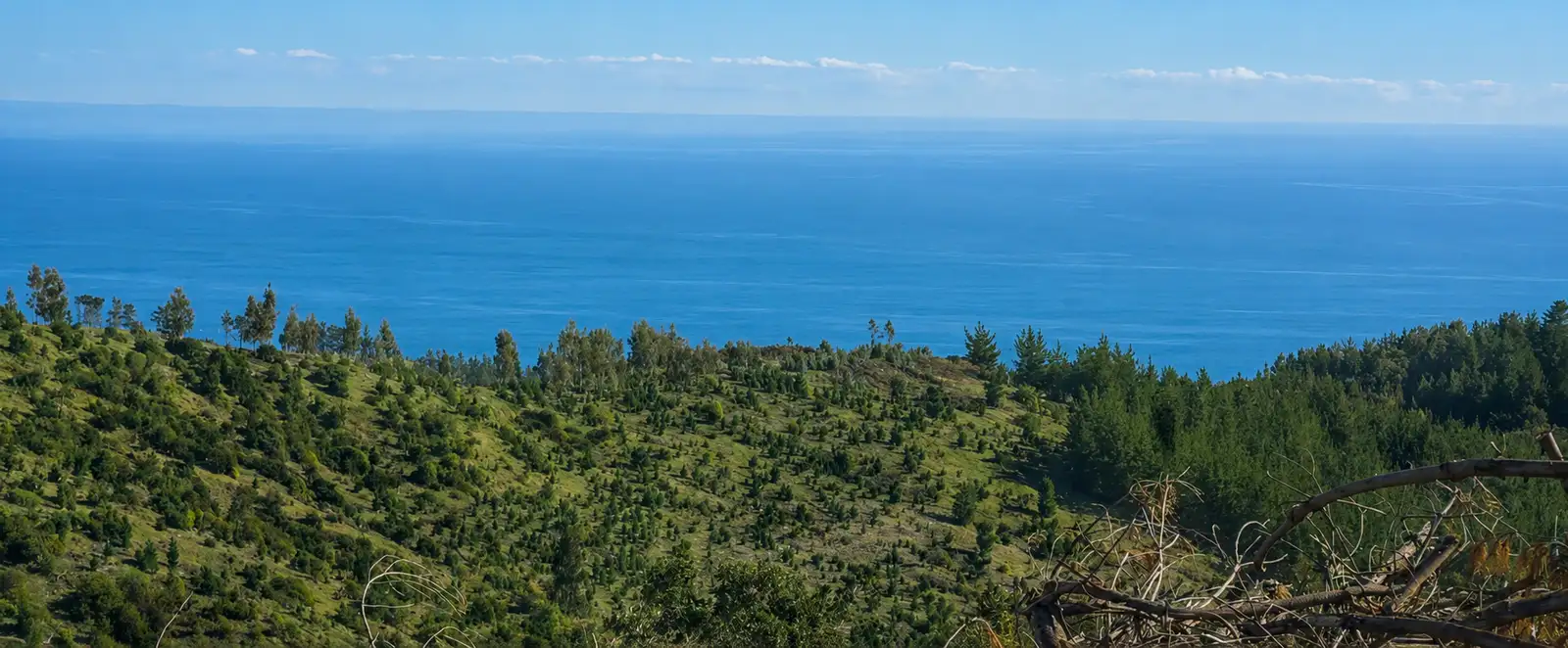 Brisas de Vichuquén | Nuevo Proyecto con Financiamiento