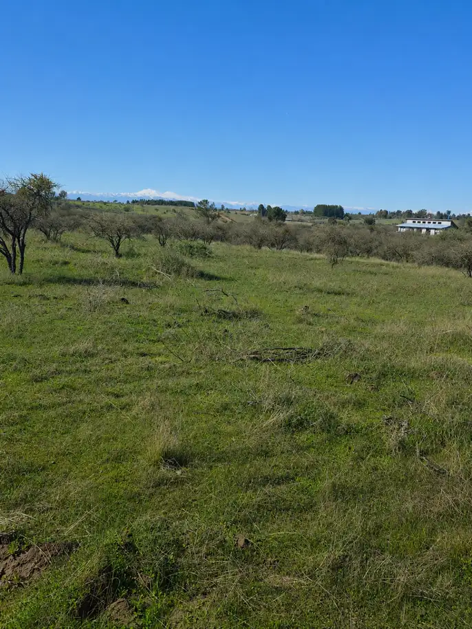 Parcela Altos el Peral en Huampuli, Ñuble