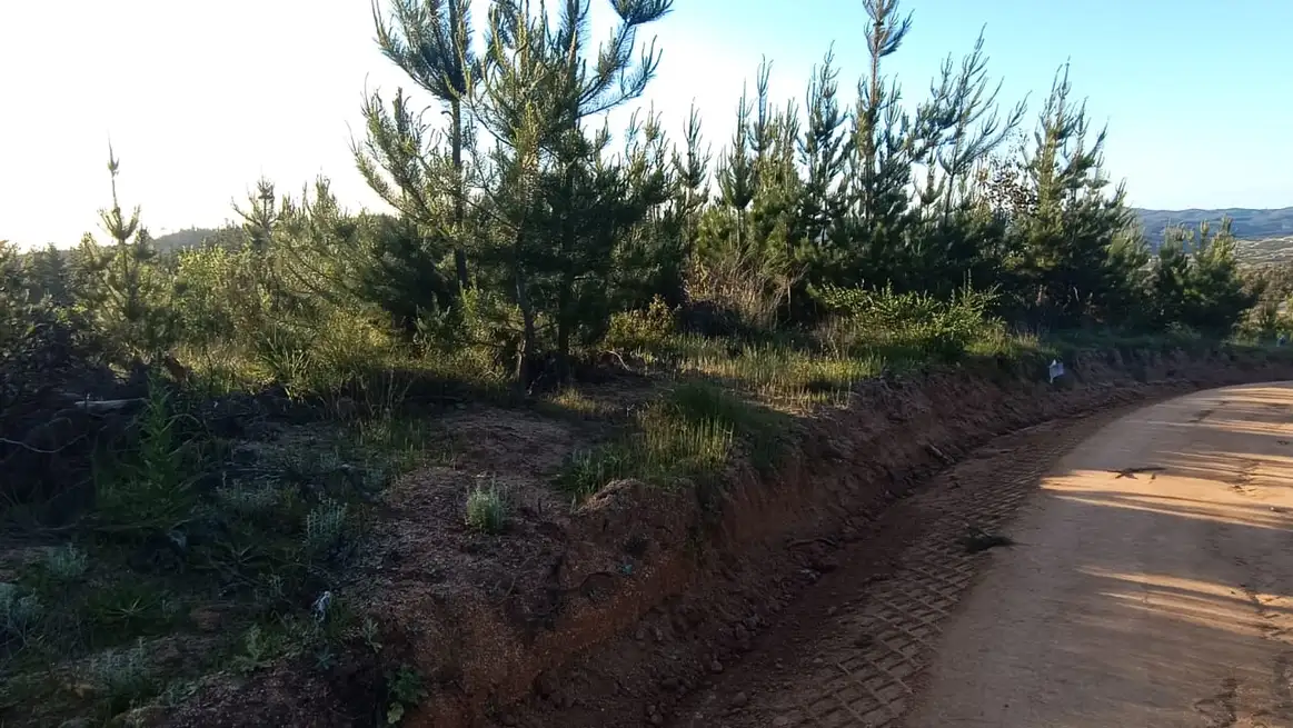 Parcela Estancia Paredones, O'Higgins — foto 5