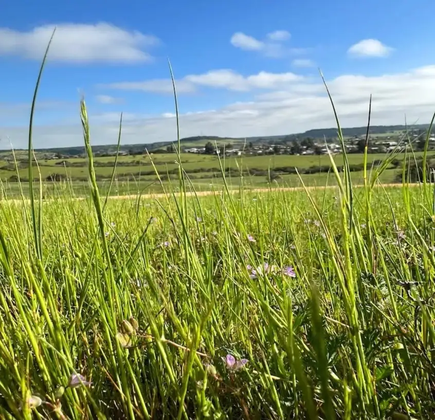 Parcela Hacienda Don Bastián en La Estrella, O'Higgins — foto 13
