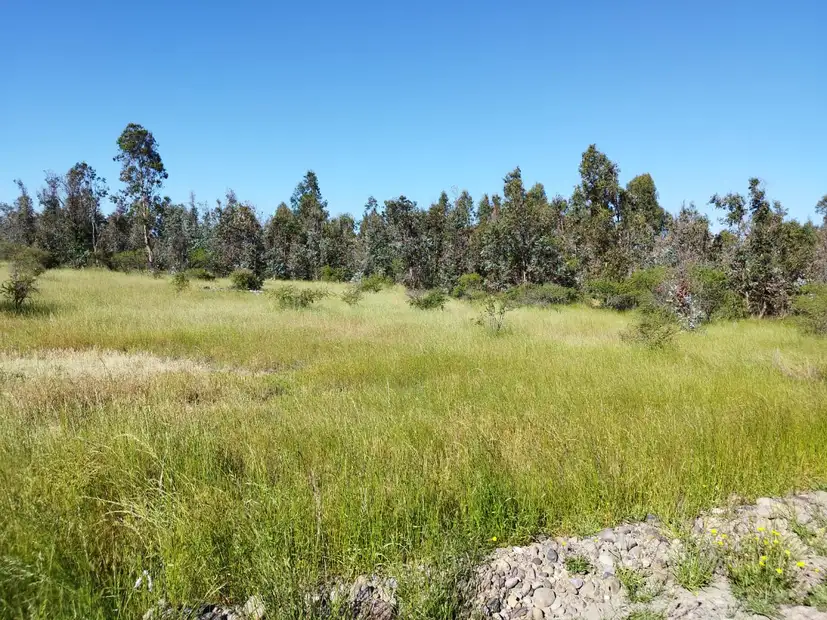 Parcela Vive Chillán en Chillán, Ñuble — foto 3