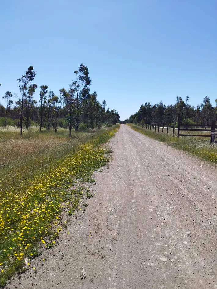 Parcela Vive Chillán en Chillán, Ñuble — foto 8