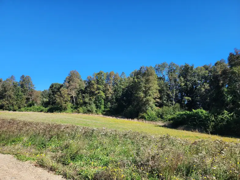 Parcela Altavista Frutillar, Los Lagos — foto 10