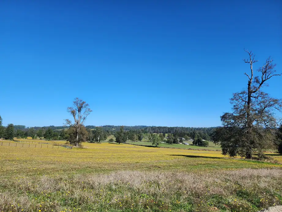 Parcela Altavista Frutillar, Los Lagos — foto 4
