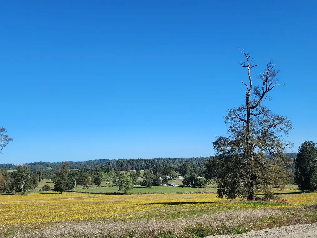 Parcela Altavista Frutillar, Los Lagos — foto 2