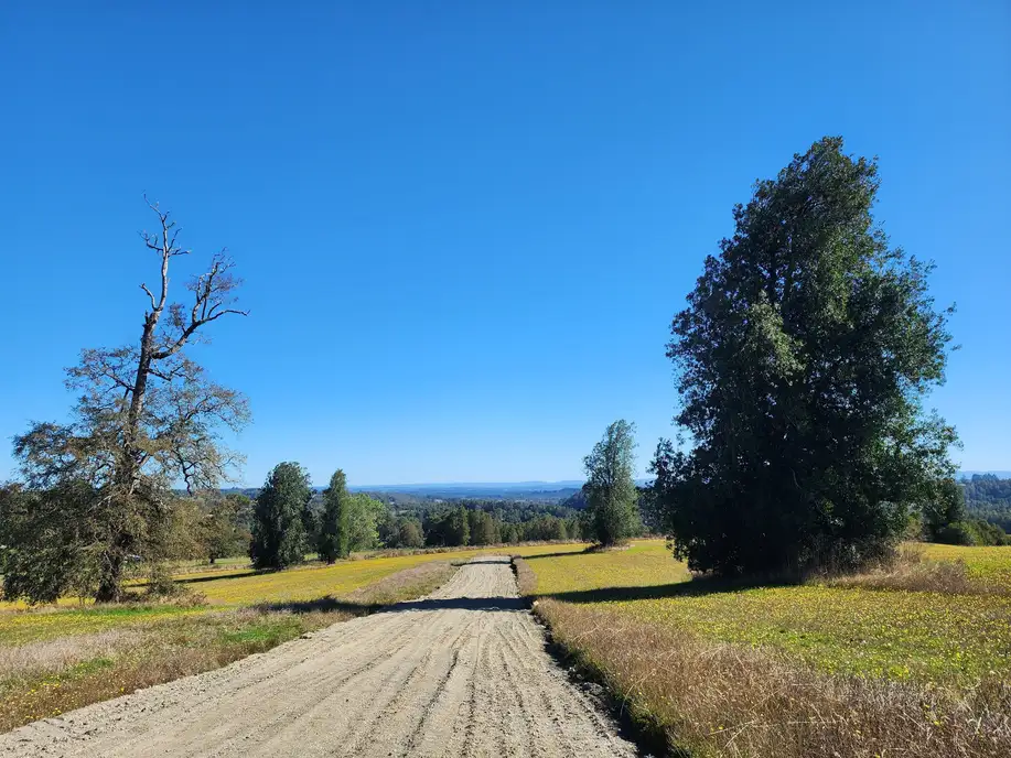 Parcela Altavista Frutillar, Los Lagos — foto 3