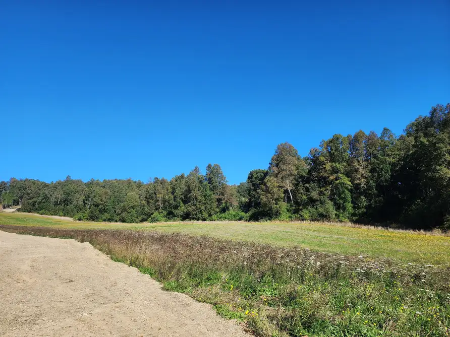 Parcela Altavista Frutillar, Los Lagos — foto 11