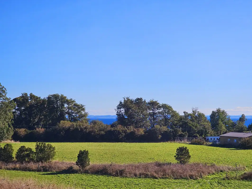 Parcela Vive Puerto Varas, Los Lagos — foto 2