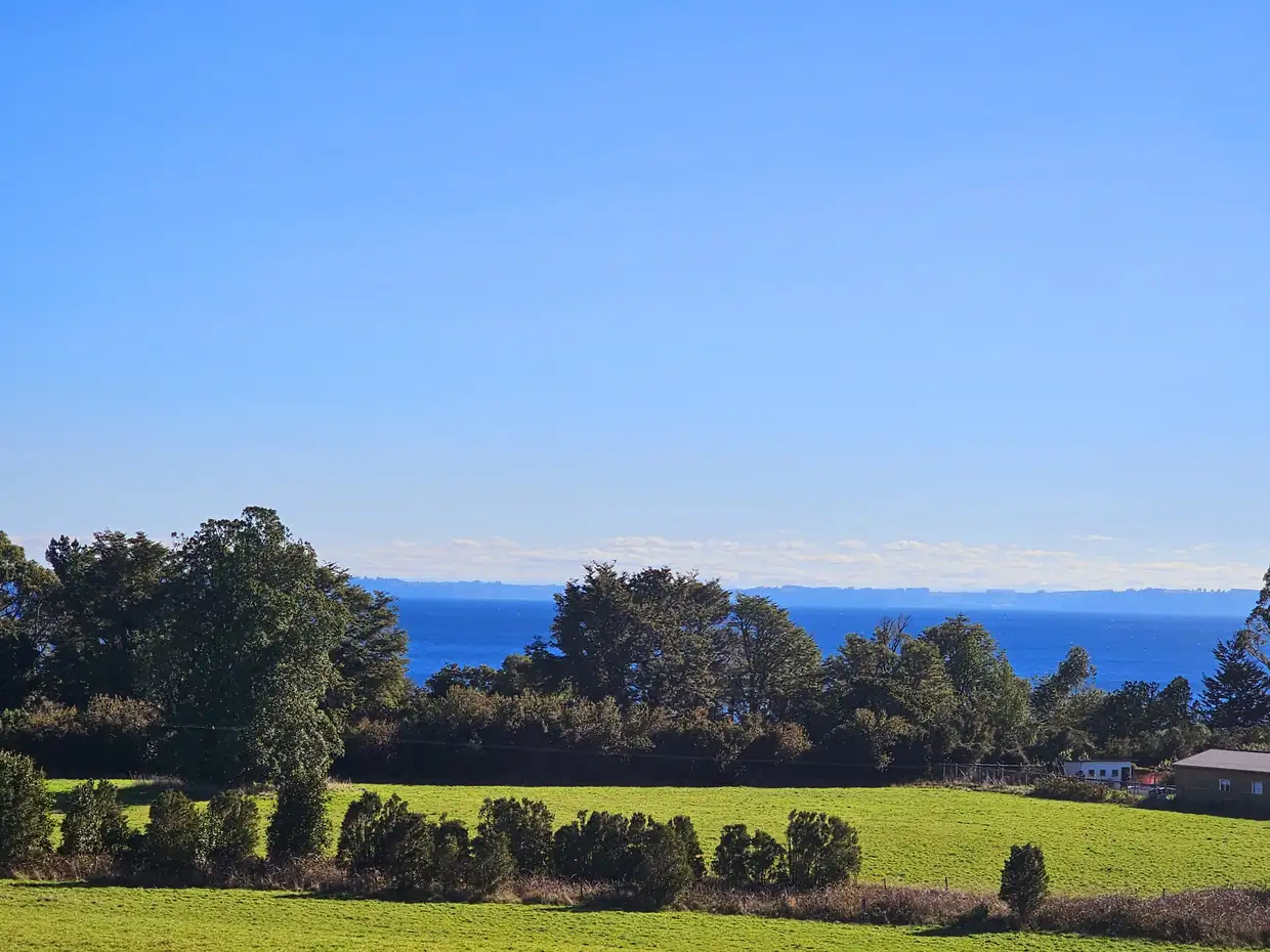 Parcela Vive Puerto Varas, Los Lagos — foto 8