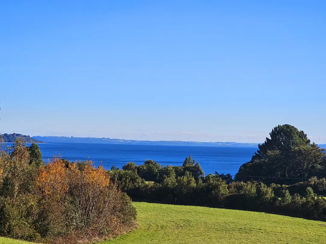 Parcela Vive Puerto Varas, Los Lagos — foto 16