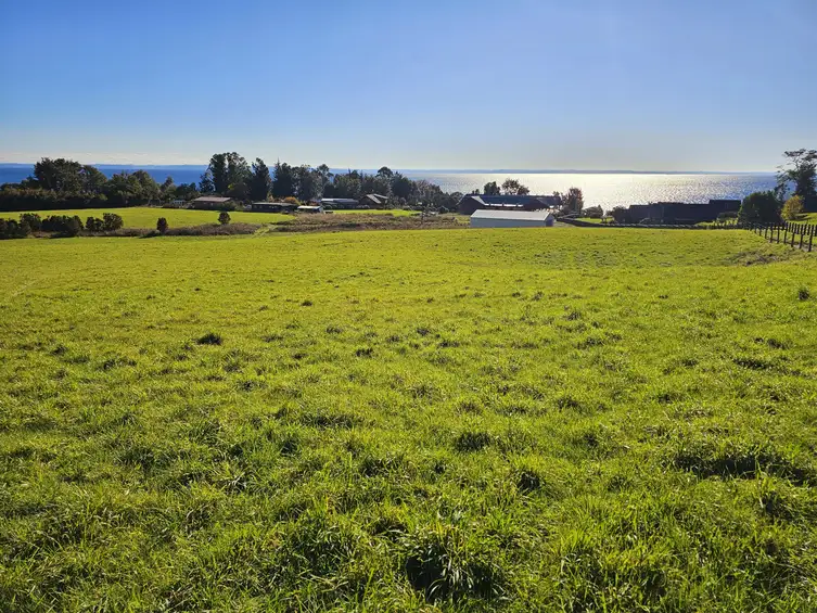 Parcela Vive Puerto Varas, Los Lagos — foto 11