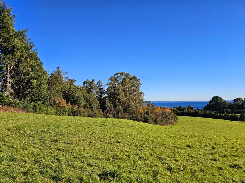 Parcela Vive Puerto Varas, Los Lagos — foto 12