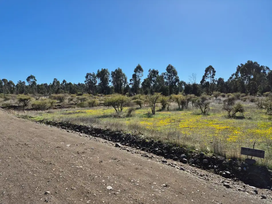 Parcela Vive Chillán en Chillán, Ñuble — foto 12