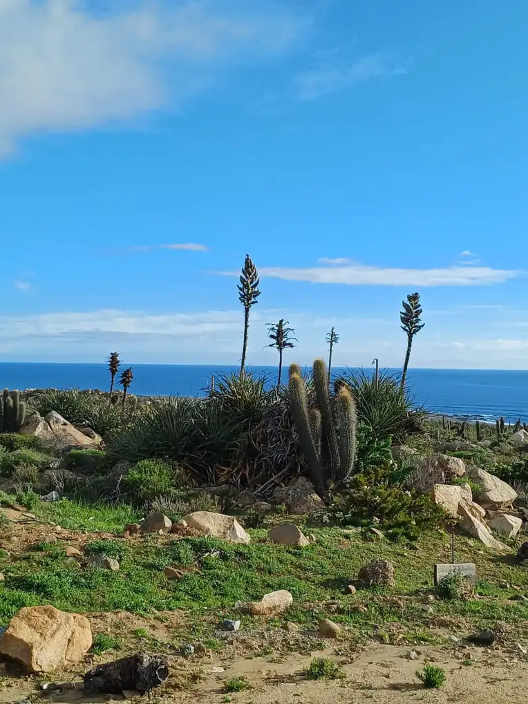 Parcela Vive Ovalle, Coquimbo