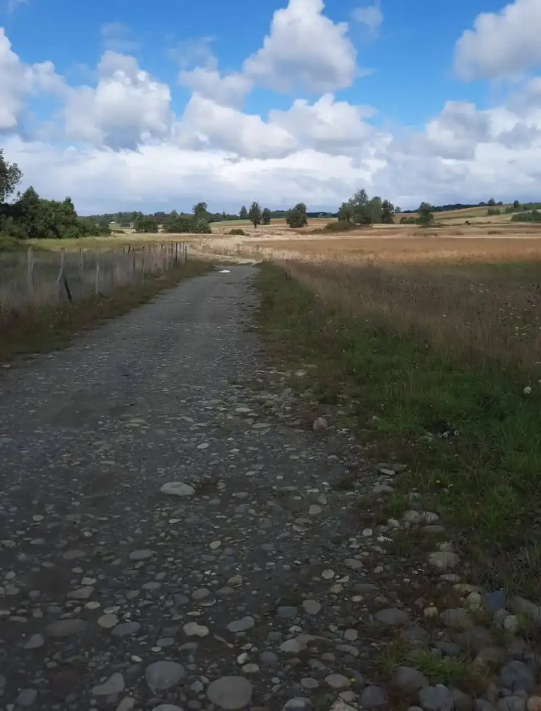 Parcela Vive Osorno, Los Lagos — foto 5