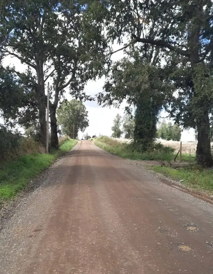 Parcela Vive Osorno, Los Lagos — foto 4