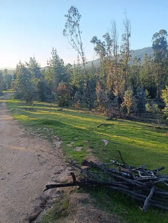 Parcela Proyecto Don Guillermo en Hualañe, Maule — foto 7