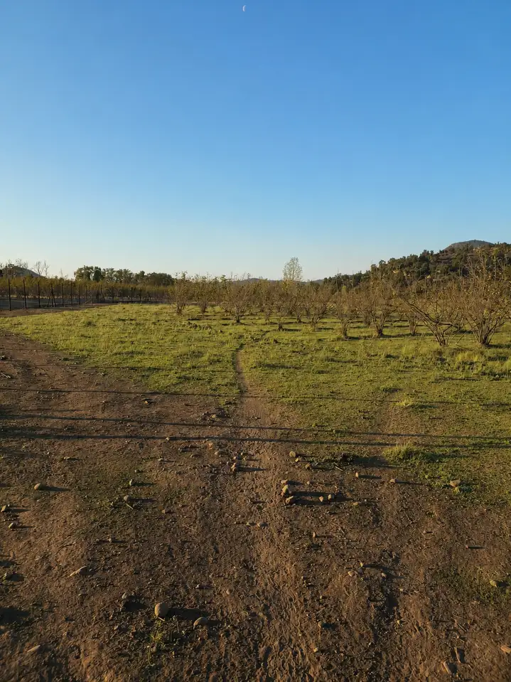 Parcela Proyecto Santa Sofia en Curico, Maule — foto 5