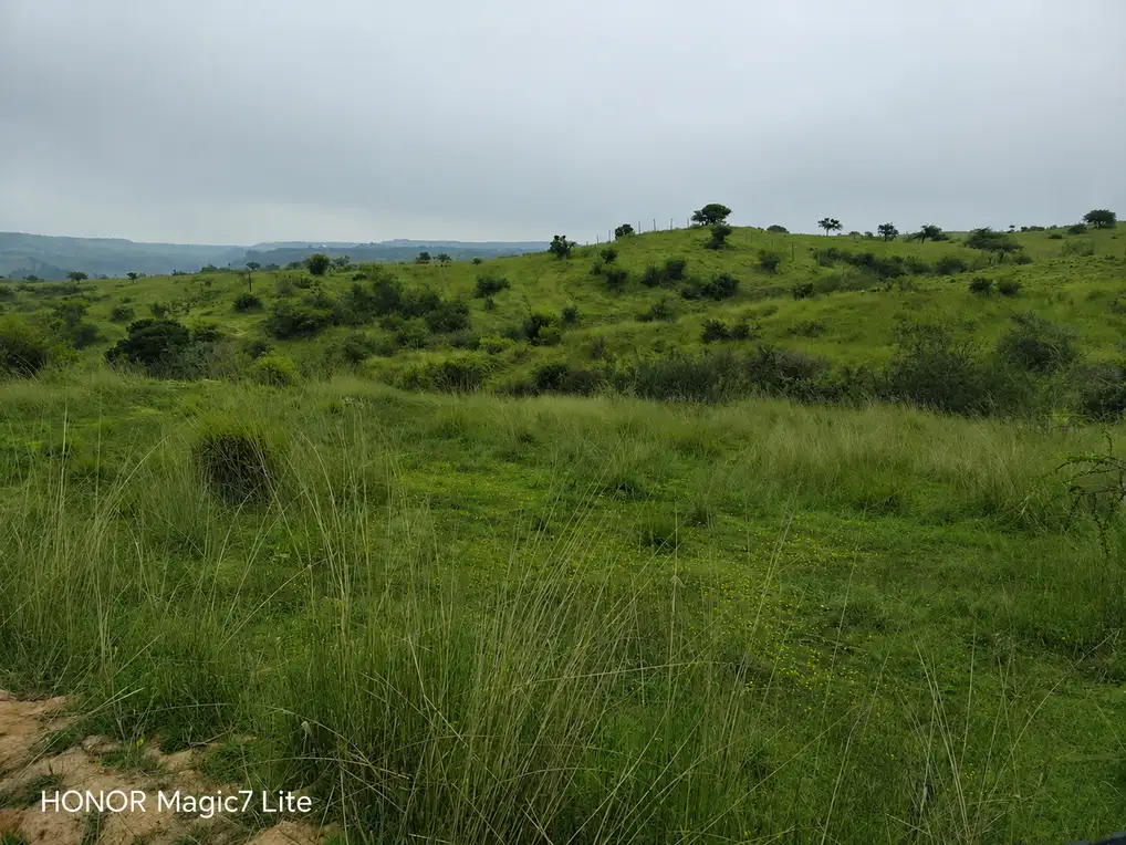 Parcela Proyecto Aliwen en Litueche, O'Higgins — foto 3
