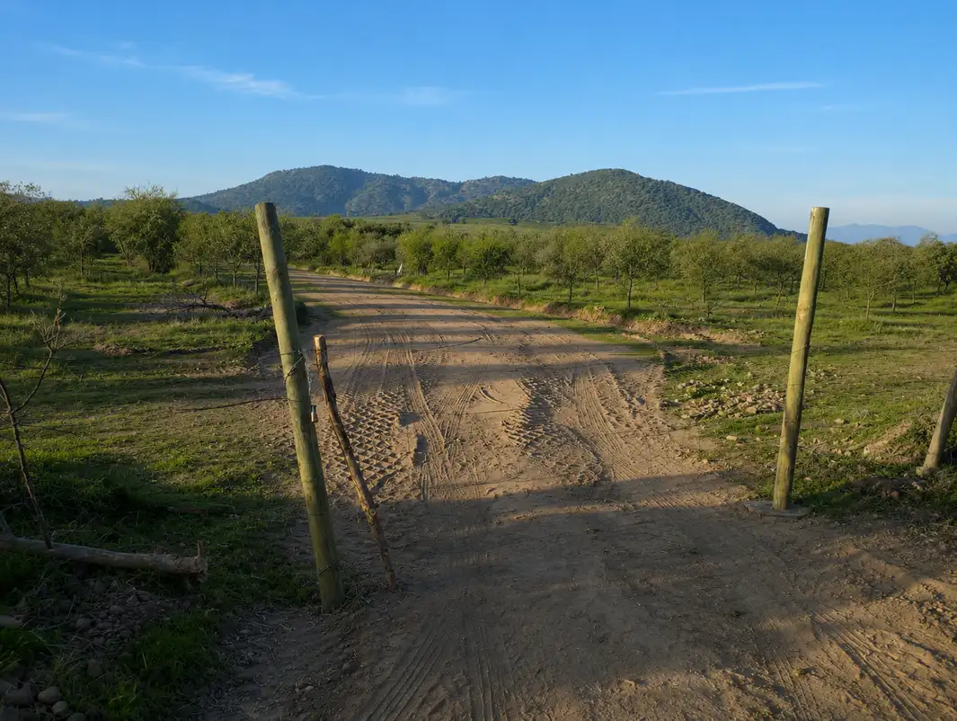 Parcela Olivos de Marchigüe en Marchigüe, O'Higgins — foto 9