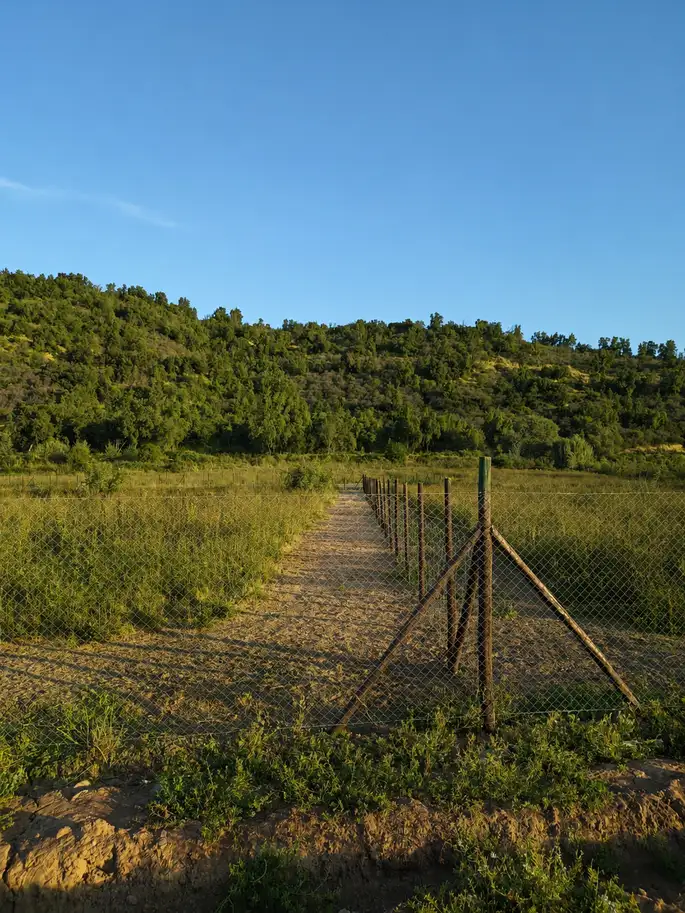 Parcela Proyecto Santa Sofia en Curico, Maule — foto 2