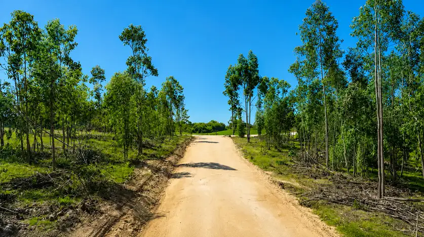 Parcela Hacienda Vichuquén en Vichuquén, Maule — foto 4