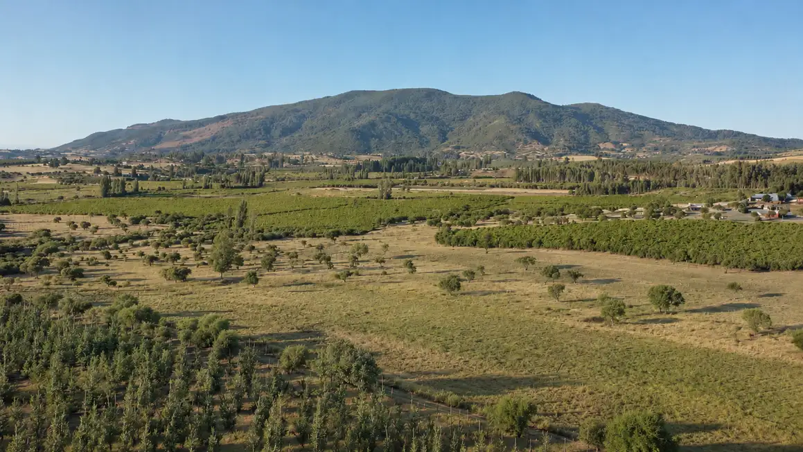 Parcela Proyecto Ninhue, Ñuble — foto 3
