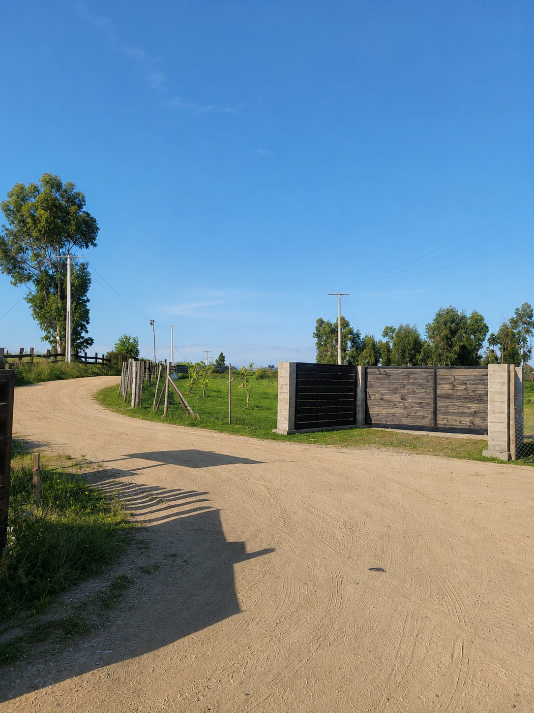 Vive Santo Domingo
