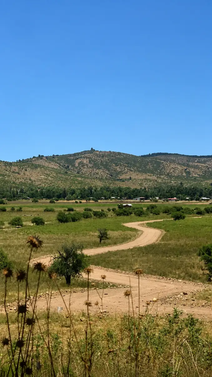 Parcela Valles del Maule en Hualañe, Maule — foto 7