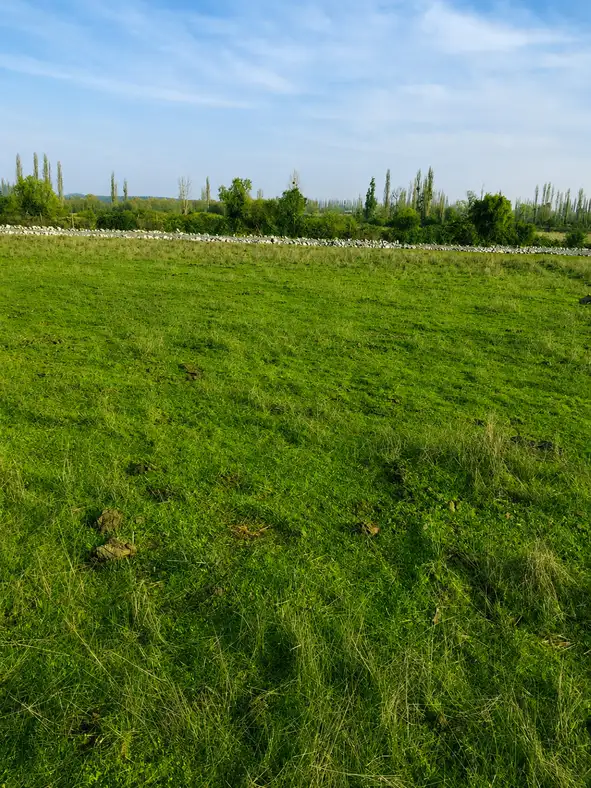 Parcela Vive Longaví en Longaví, Maule — foto 4