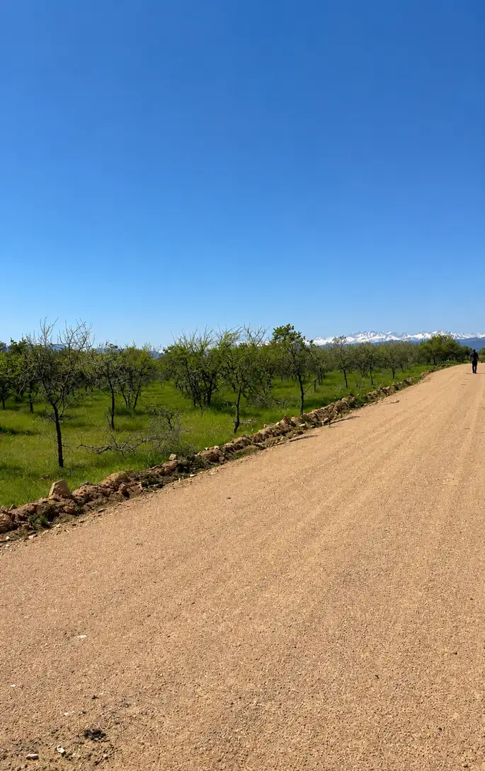 Parcela Olivos de Marchigüe en Marchigüe, O'Higgins — foto 13