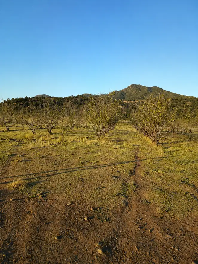 Parcela Proyecto Santa Sofia en Curico, Maule — foto 7