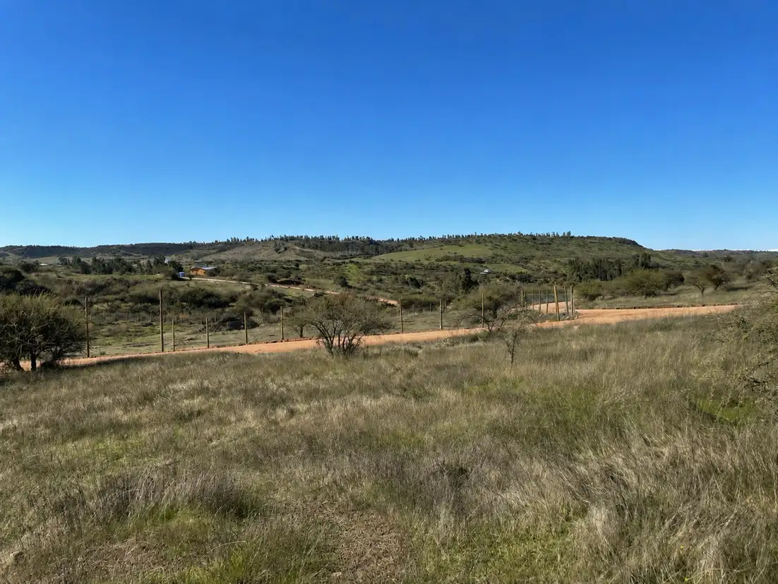 Parcela Hacienda don Bastian en La Estrella, O'Higgins — foto 8