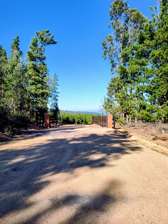 Montaña de Reyes | Parcelas desde $7.990.000 a Solo 15 Min de Licantén