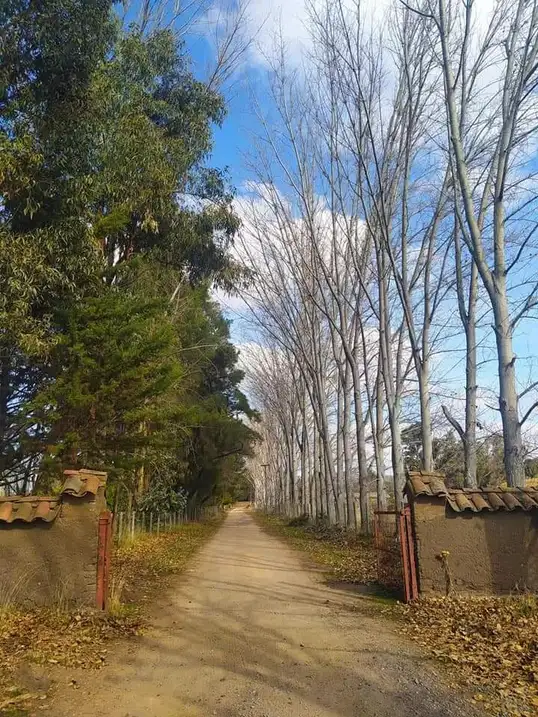 Parcela Hacienda Don Bastián en La Estrella, O'Higgins — foto 11