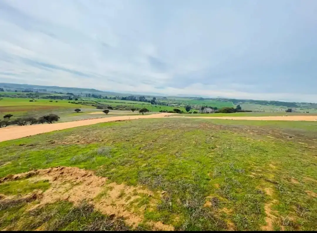 Parcela Hacienda Don Bastián en La Estrella, O'Higgins — foto 10
