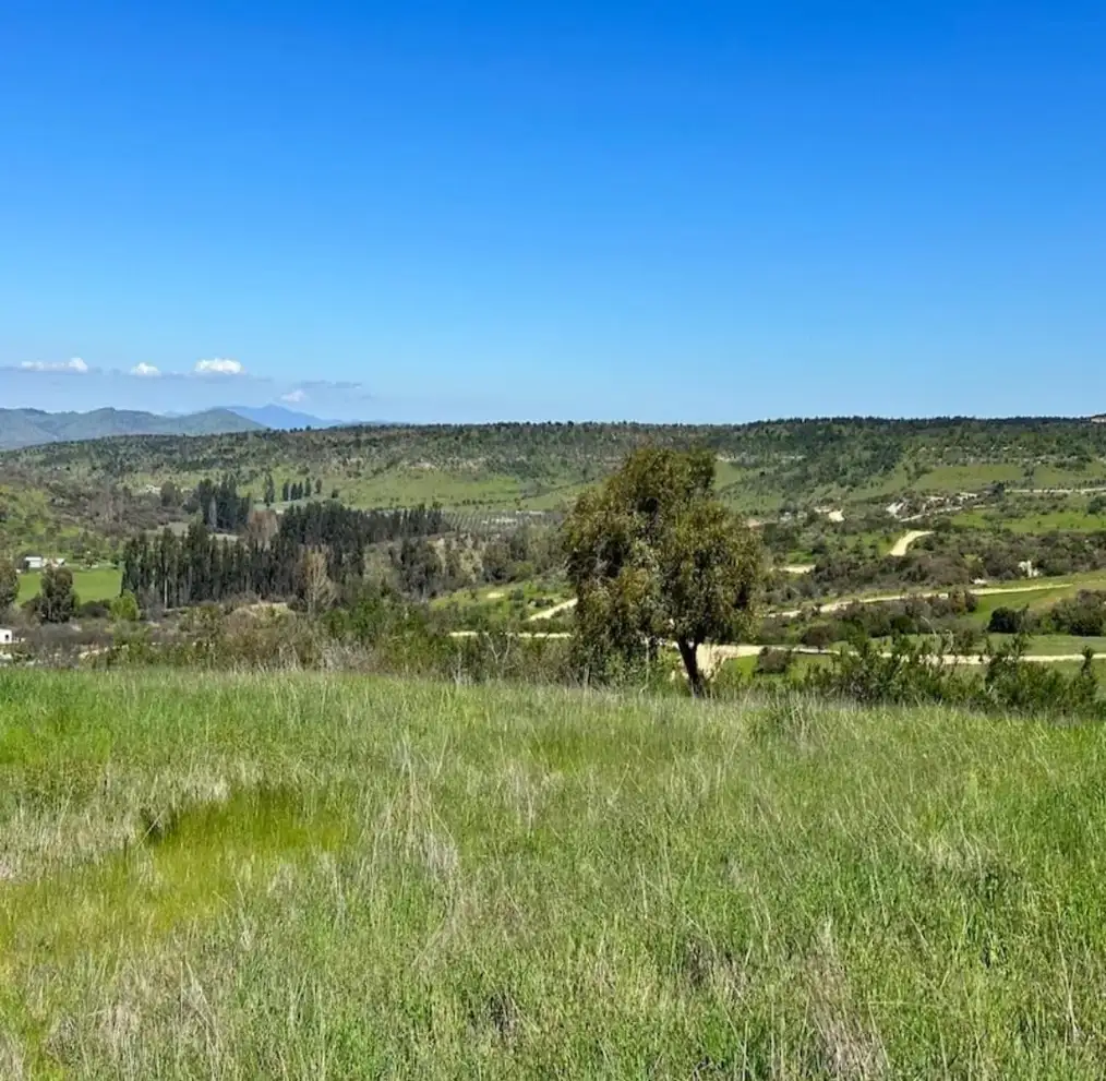 Parcela Hacienda Don Bastián en La Estrella, O'Higgins — foto 9