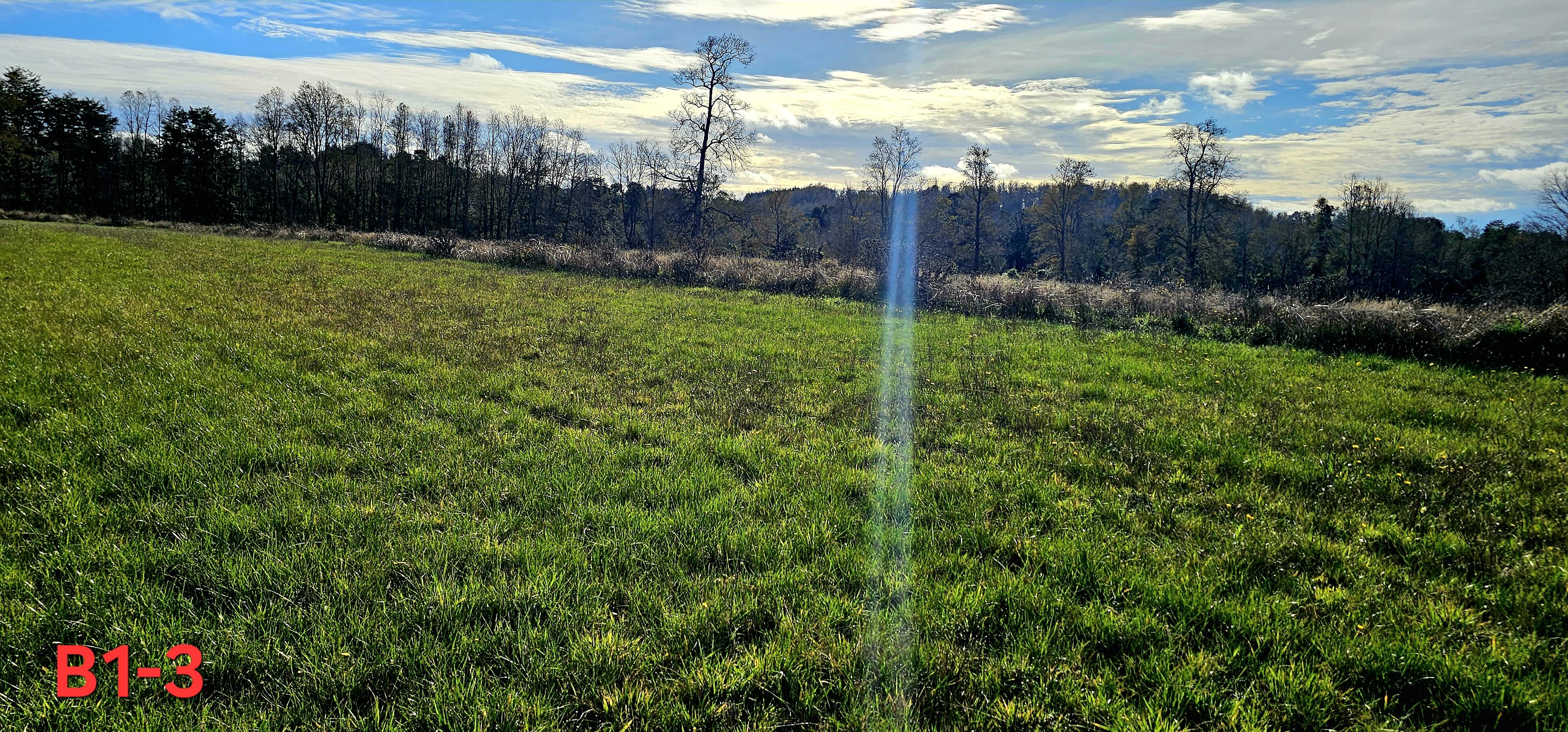 Robles de Río Llico | Parcelas desde $19.490.000 con Acceso al Río