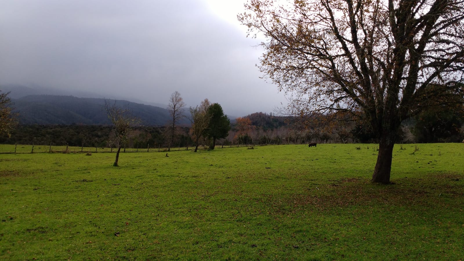Lomas del Sarao 2 | Parcelas desde $12.990.000 a Solo 5 Min de Río Llico