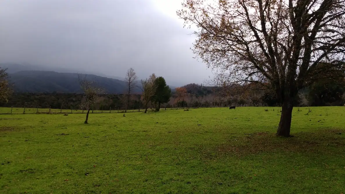 Lomas del Sarao 2 | Parcelas desde $12.990.000 a Solo 5 Min de Río Llico