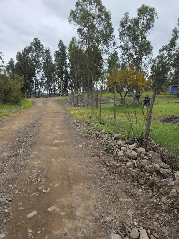 Parcela con Cabaña y Estero en Rauco | 5.000 m² de Naturaleza y Tranquilidad — foto 3