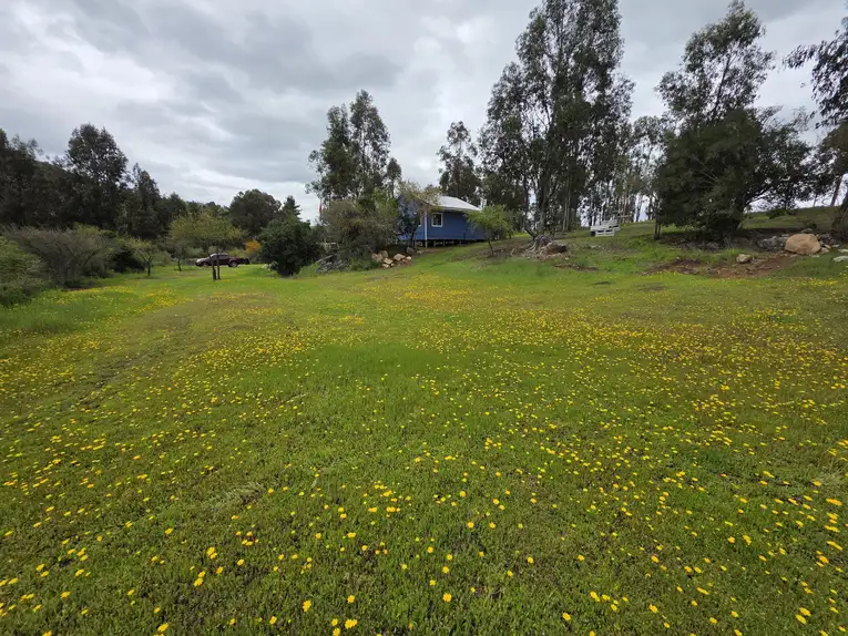 Parcela con Cabaña y Estero en Rauco | 5.000 m² de Naturaleza y Tranquilidad — foto 4