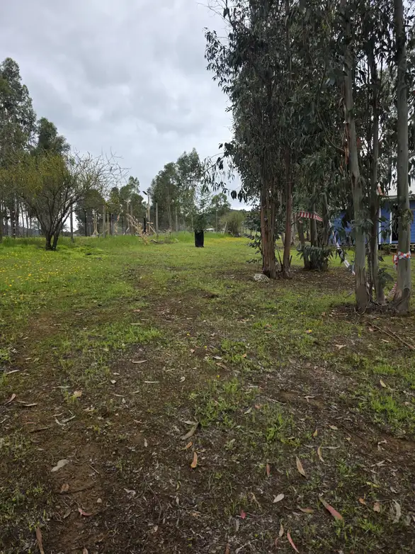Parcela con Cabaña y Estero en Rauco | 5.000 m² de Naturaleza y Tranquilidad — foto 5