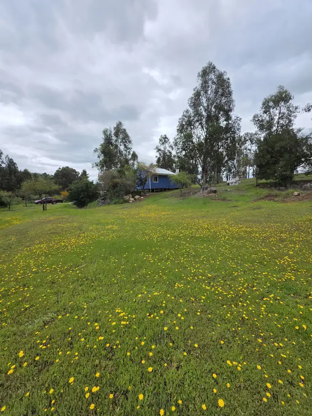 Parcela con Cabaña y Estero en Rauco | 5.000 m² de Naturaleza y Tranquilidad — foto 7