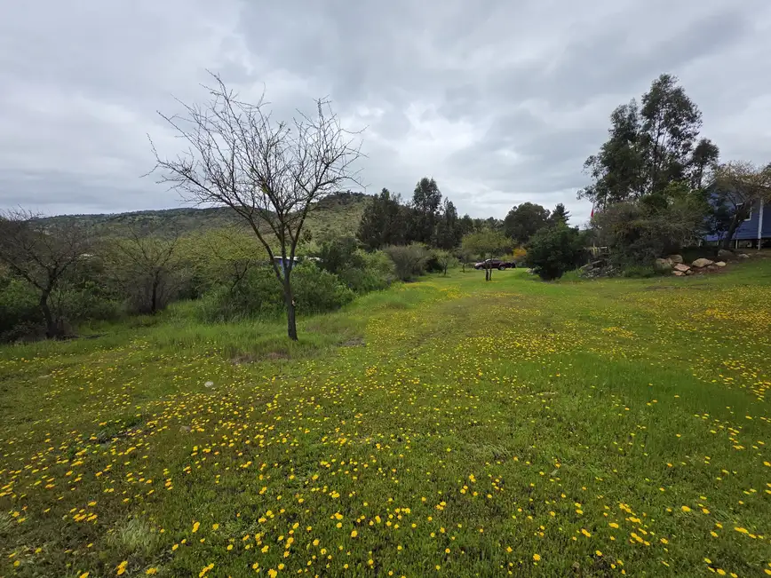 Parcela con Cabaña y Estero en Rauco | 5.000 m² de Naturaleza y Tranquilidad — foto 9