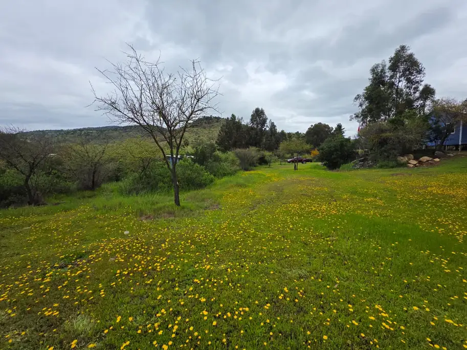 Parcela con Cabaña y Estero en Rauco | 5.000 m² de Naturaleza y Tranquilidad — foto 11