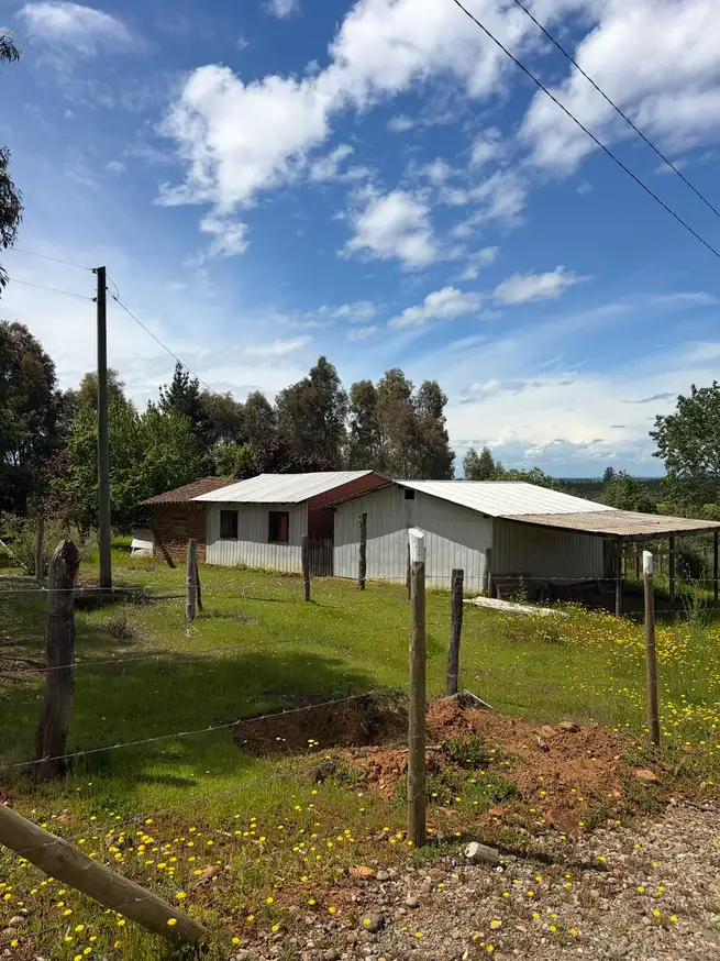 Parcela + casa + bodega en Cauquenes — foto 15